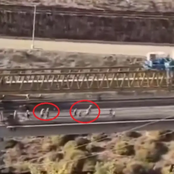 “¡Ya valió mxdrx!”: Momento en que colapsa enorme grúa en obra del viaducto elevado y casi aplasta a trabajadores en Tijuana