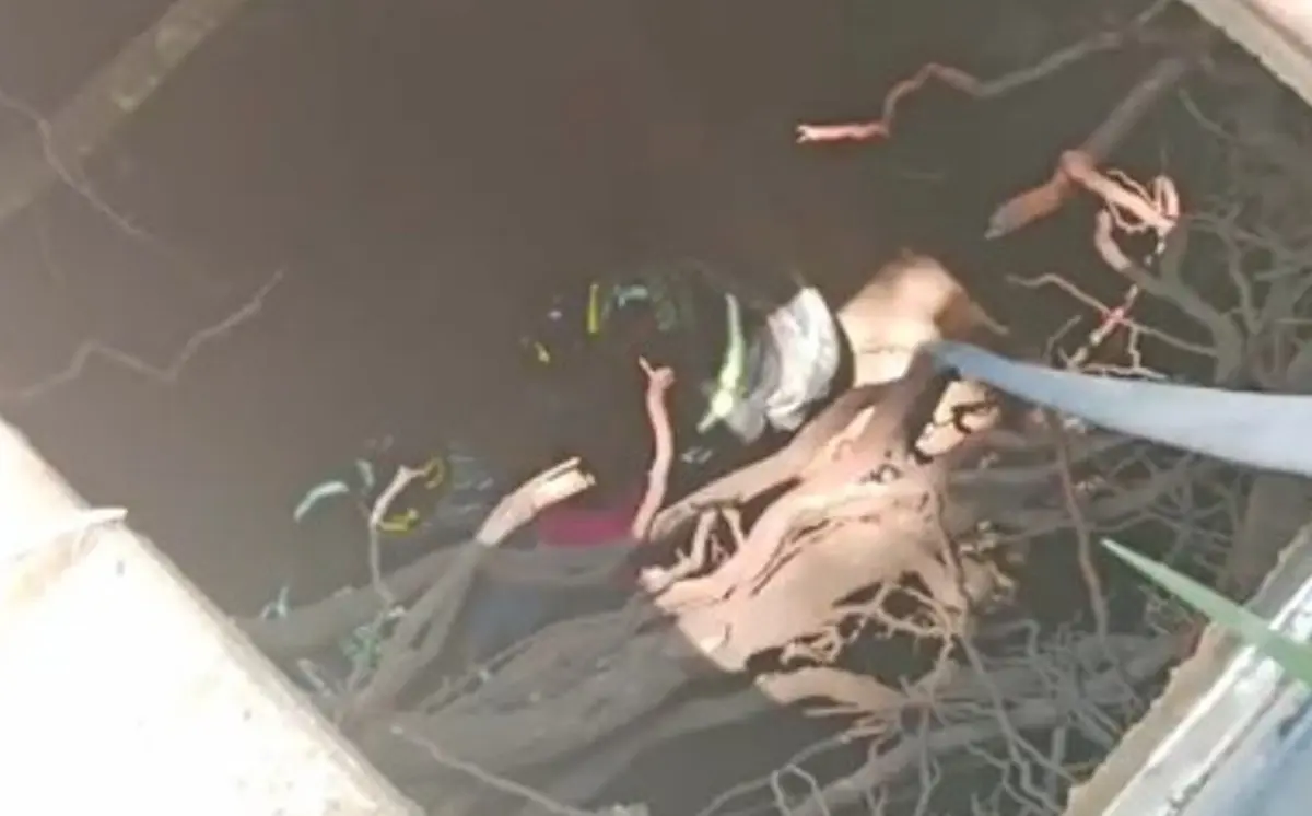 La mujer fue rescatada por los bomberos. N+.