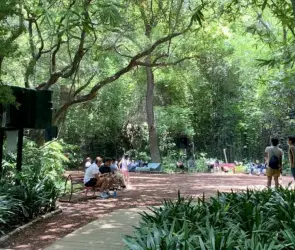 Niño desaparece en el Bosque de Chapultepec y es localizado en área de juegos