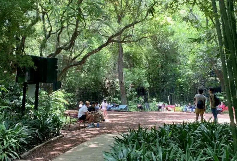 Niño desaparece en el Bosque de Chapultepec y es localizado en área de juegos