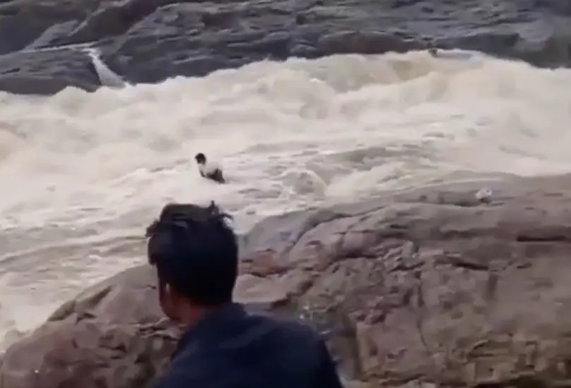 Youtuber desaparece tras ser arrastrado por la corriente en cascada Youtuber desaparece tras ser arrastrado por la corriente en cascada