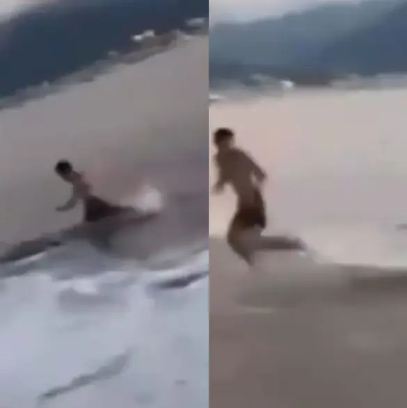 Adolescente logra esquivar ataque de cocodrilo en playa de Puerto Vallarta