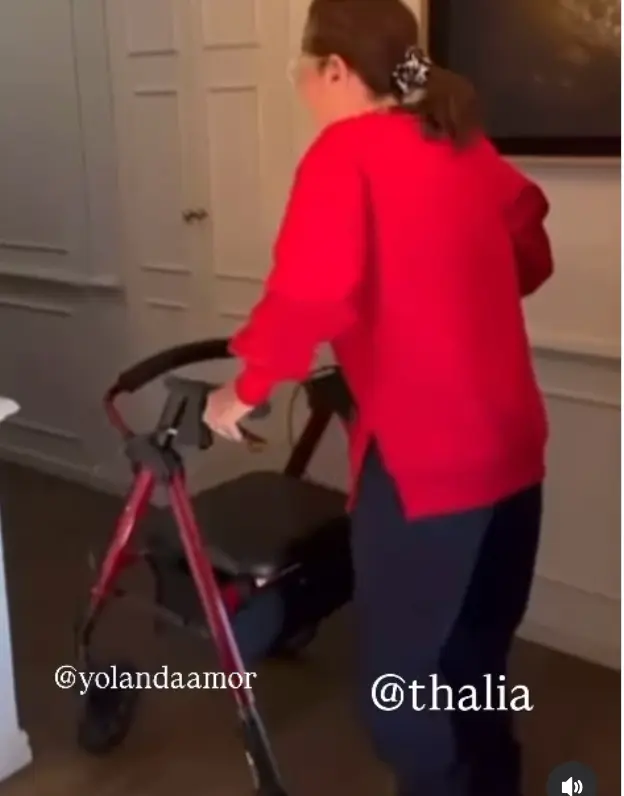 Yolanda Andrade Instagram