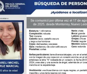 Yareli Michel viajó a Monterrey buscando trabajado como empleada doméstica; desapareció sin dejar rastro