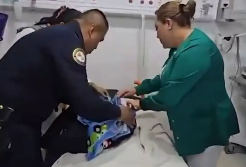 La recién nacida fue ingresada al Hospital Pediátrico Legaria en estado crítico. La recién nacida fue ingresada al Hospital Pediátrico Legaria en estado crítico.