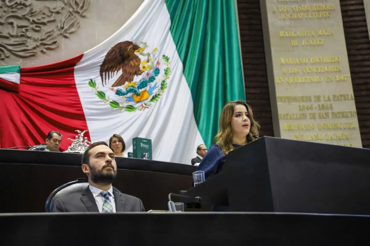 La diputada Diana Estefanía Gutiérrezd enunció la situación crítica que enfrentan millones de familias mexicanas. Cortesía