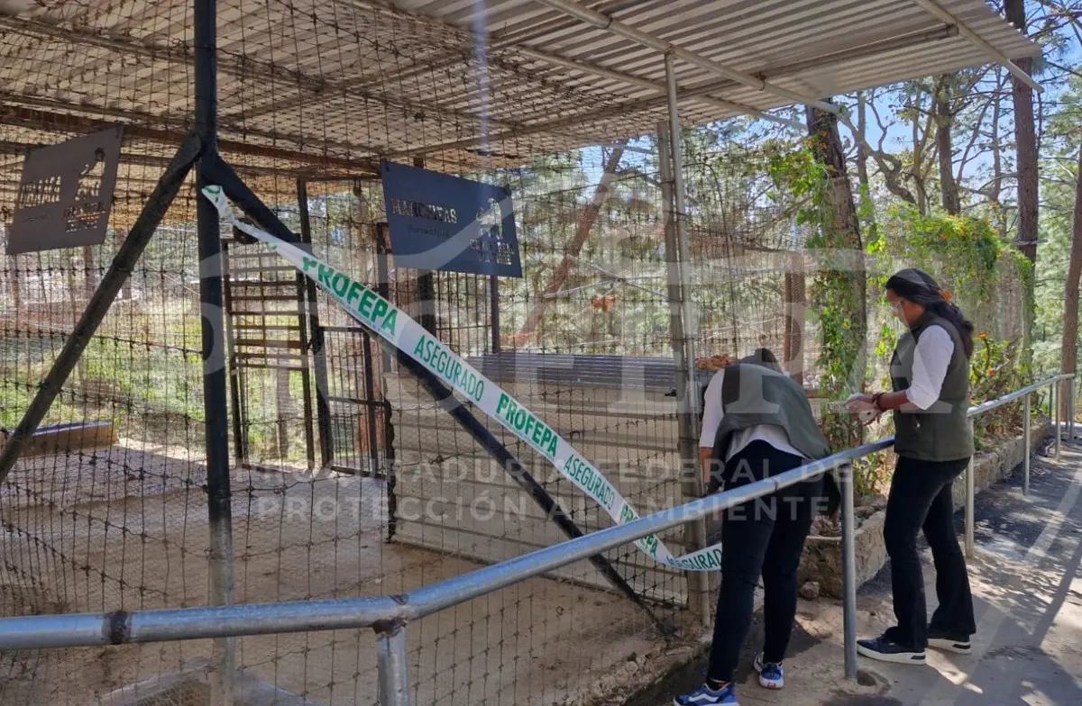 El momento de la clausura a Camino Real del Tigre. Profepa.