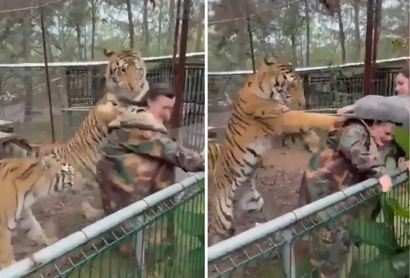 Un visitante captó el momento exacto. Un visitante captó el momento exacto.