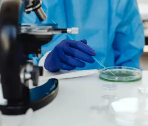 ¿Qué es la bacteria Klebsiella oxytoca y cómo mató a 13 bebés en hospitales del Edomex?