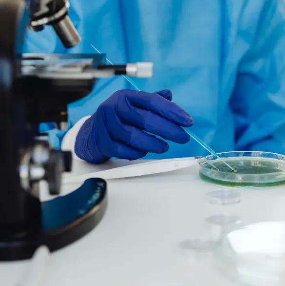 ¿Qué es la bacteria Klebsiella oxytoca y cómo mató a 13 bebés en hospitales del Edomex?
