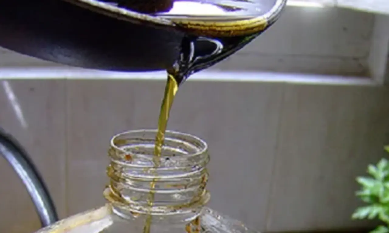  Será recolectado y enviado para transformarse en biocombustibles. 
