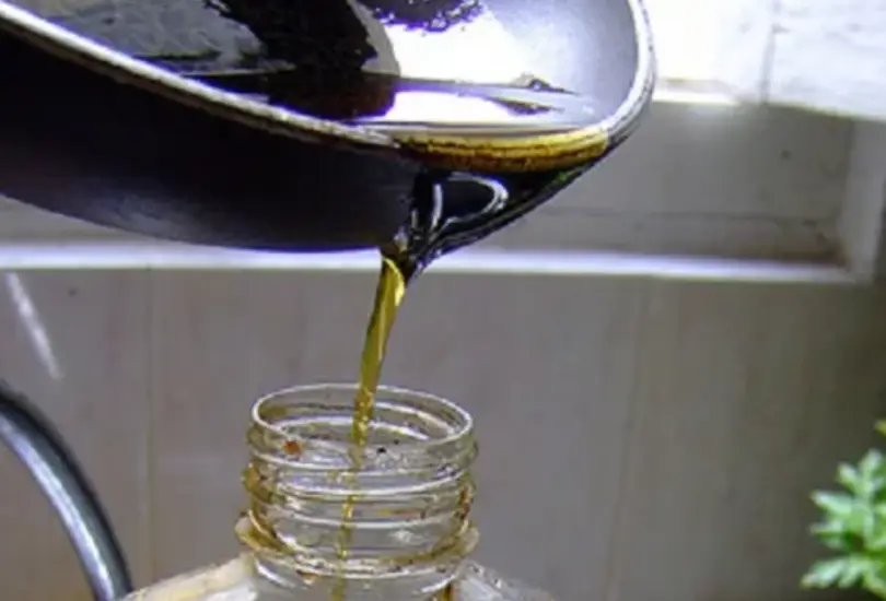 Será recolectado y enviado para transformarse en biocombustibles.