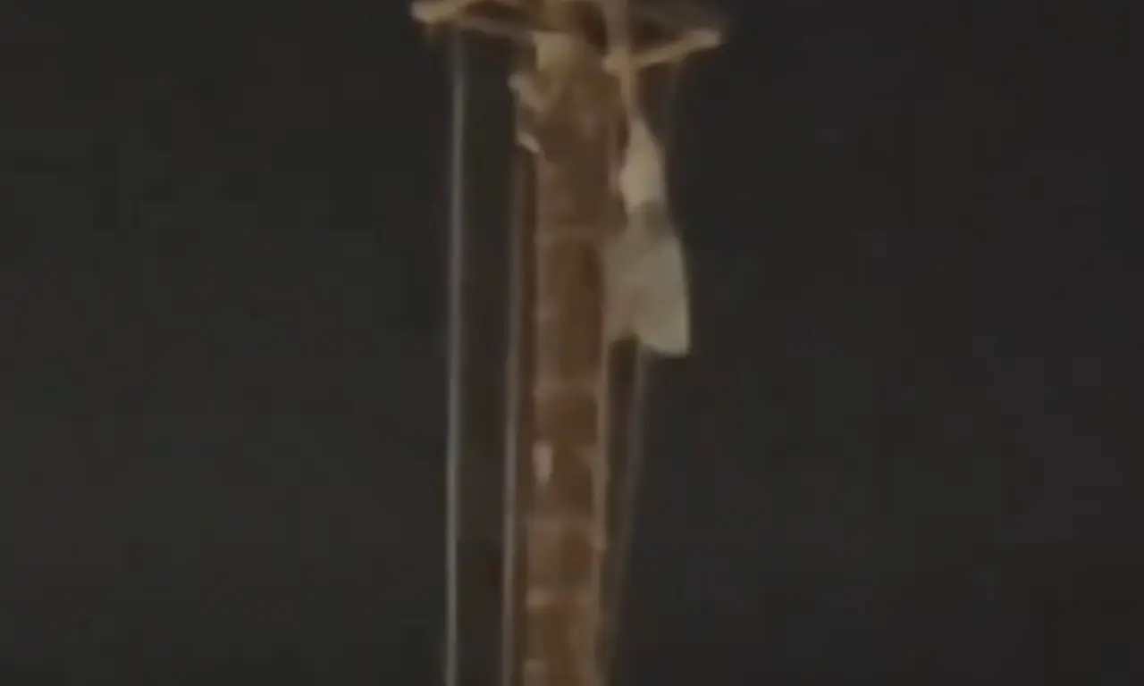  Los hechos ocurrieron poco después de las 11:00 de la noche. 