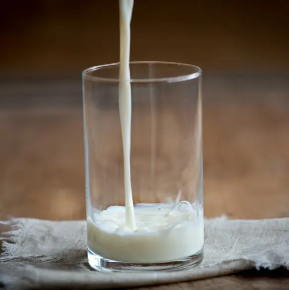 Las mejores marcas de leche deslactosada, según Profeco 2025