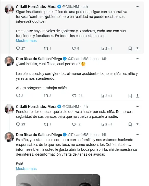 Salinas Pliego pelea con Citlalli Hernández Mora en X Captura de pantalla
