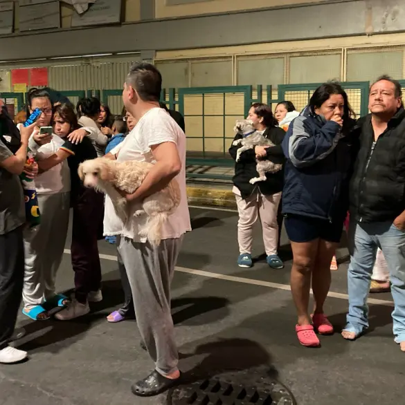 Ay, Dios mío: Reportan sismo a primera hora de este 19 de septiembre