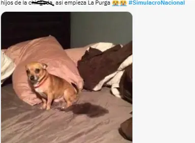 Los memes del Simulacro Nacional 2025. X.