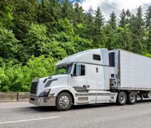 Detienen a trailero que transportaba a dos adolescentes en un refrigerador