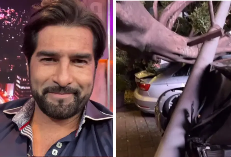 Cae árbol en auto de Arturo Carmona