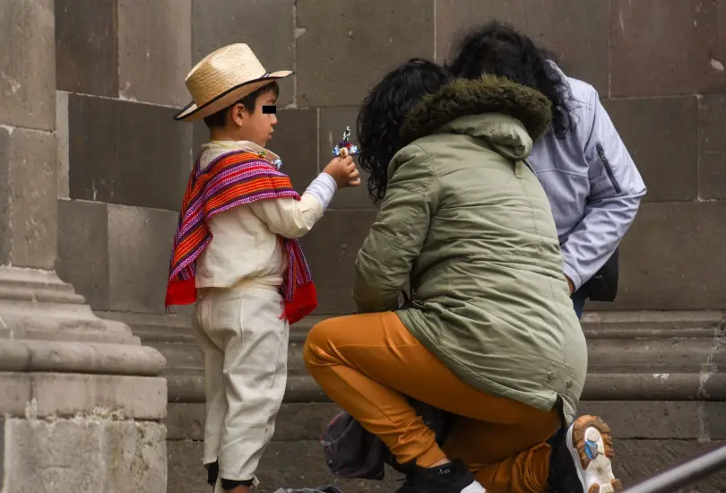 En México, la pensión está regulada por el Código Civil, aunque las reglas específicas pueden variar según el estado.