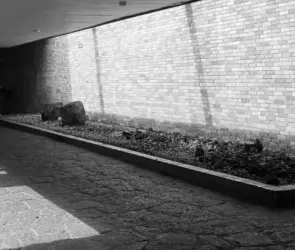 El último mensaje de Jorge González, joven de la UNAM que murió en el Metro Copilco