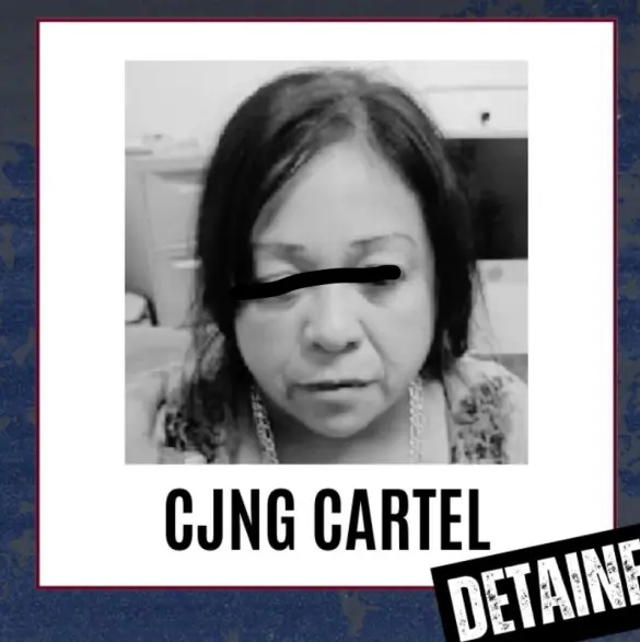 "La Diabla": así operaba la presunta traficante de bebés del CJNG que cobraba hasta 250 mil pesos