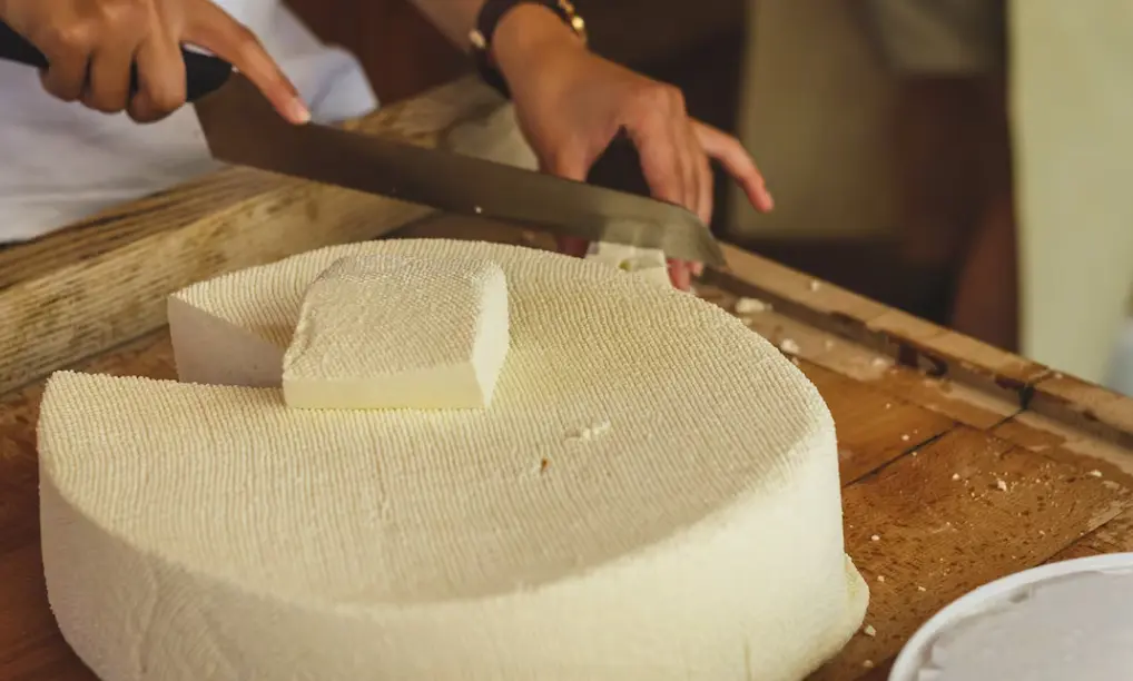 El queso panela es un tipo de queso fresco que cuenta con ciertas características especiales de manera tradicional. Especial