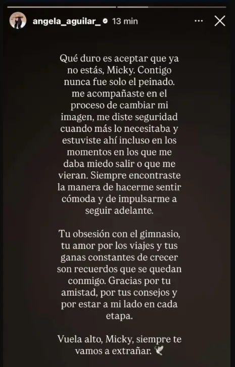Así se despidió la cantante de su amigo. Instagram.
