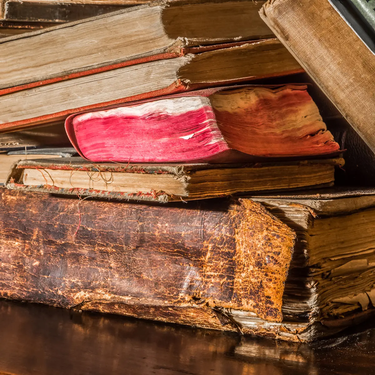 Los pececillos de plata son una de las plagas más comunes que dañan libros antiguos. Especial