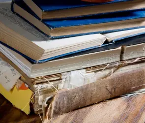 Protección invaluable: Cómo proteger libros de insectos y plagas comunes