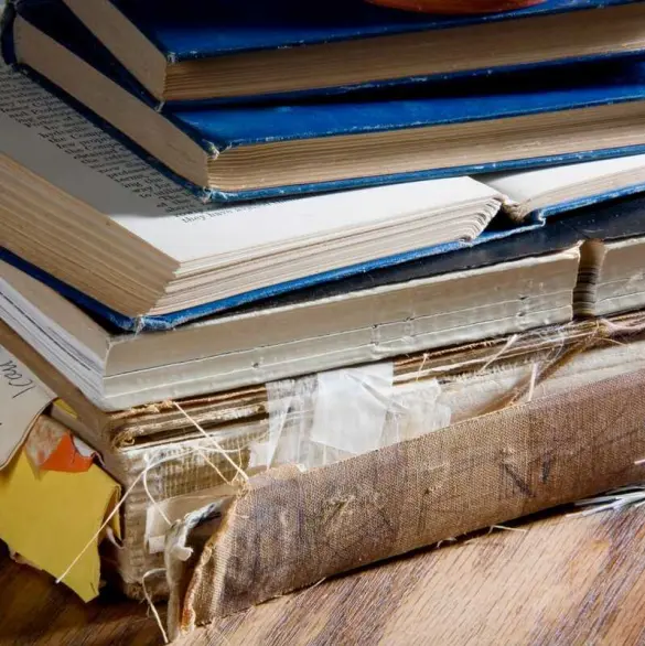 Protección invaluable: Cómo proteger libros de insectos y plagas comunes