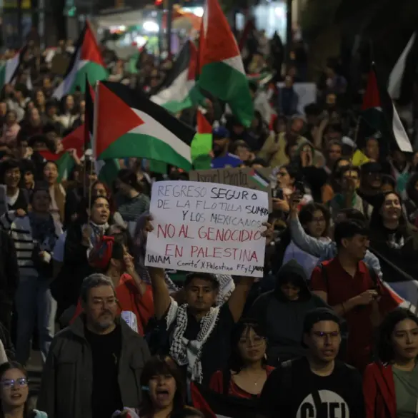 De los mexicanos detenidos en Israel a las protestas en Reforma: genocidio en Palestina sacude a México 