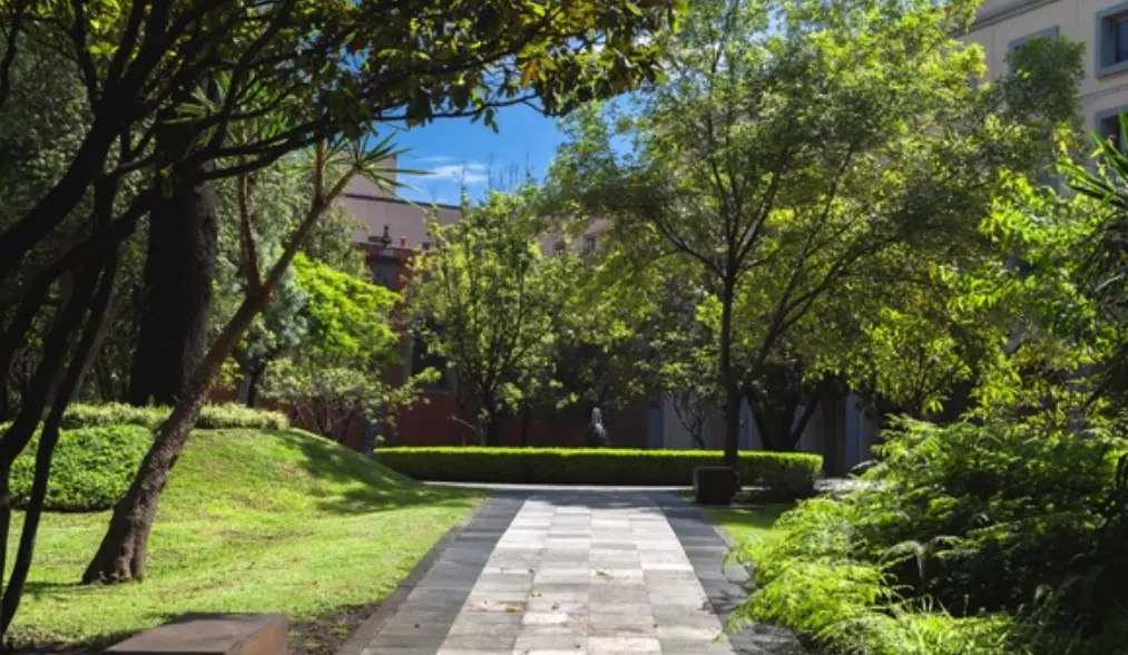 El Palacio cuenta con jardines y patios, como el Jardín Nezahualcóyotl y el Jardín Botánico, donde se conservan especies endémicas de México. Gobierno de México.