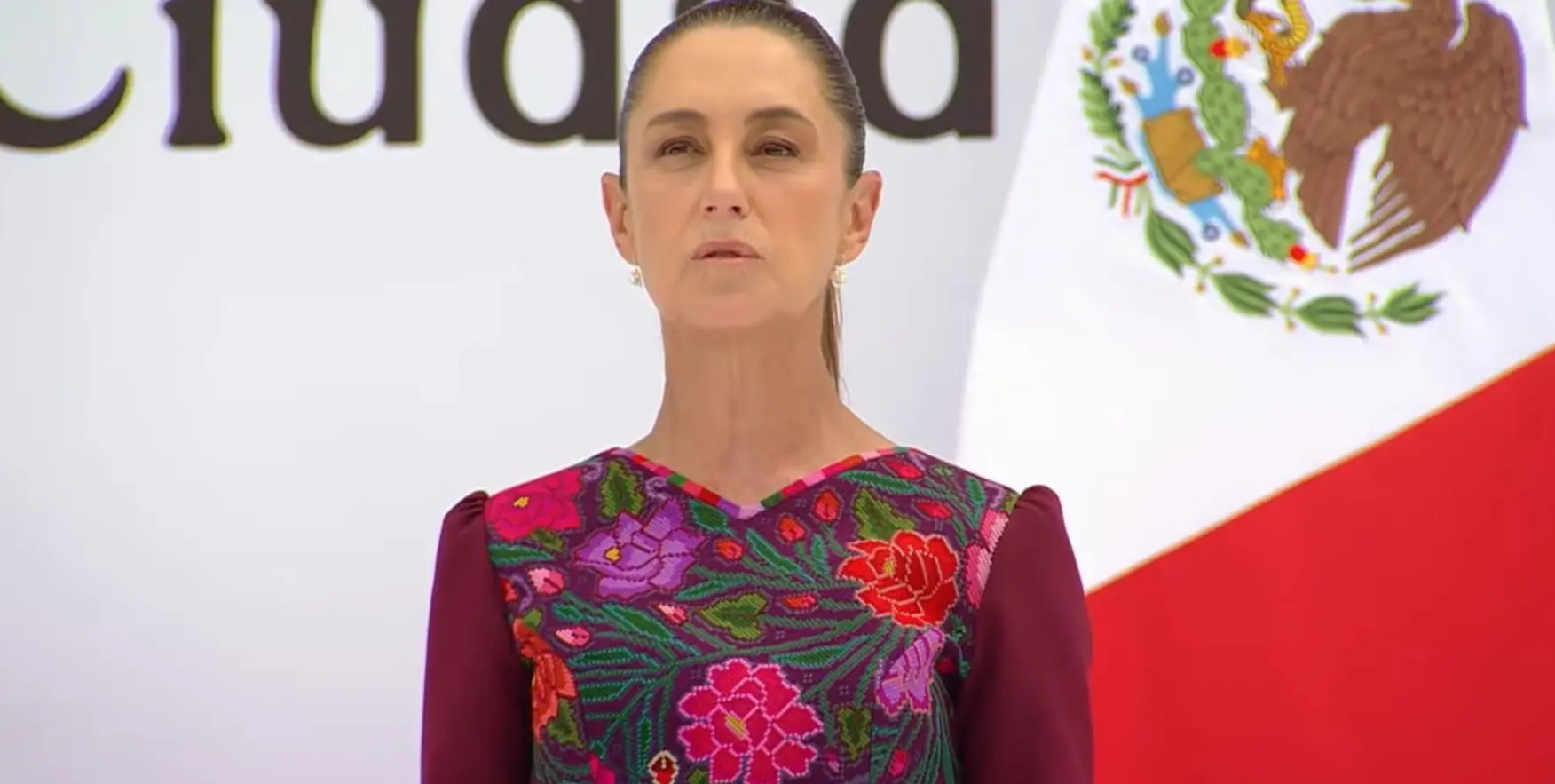 Captura de pantalla.&nbsp;