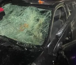 Conductor ebrio arrolla a multitud en carnaval de Almoloya; reportan dos muertos y varios heridos