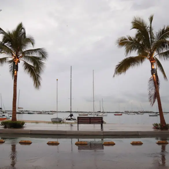Huracán Priscilla: ¿Qué estados afectará con lluvias torrenciales y fuertes vientos?