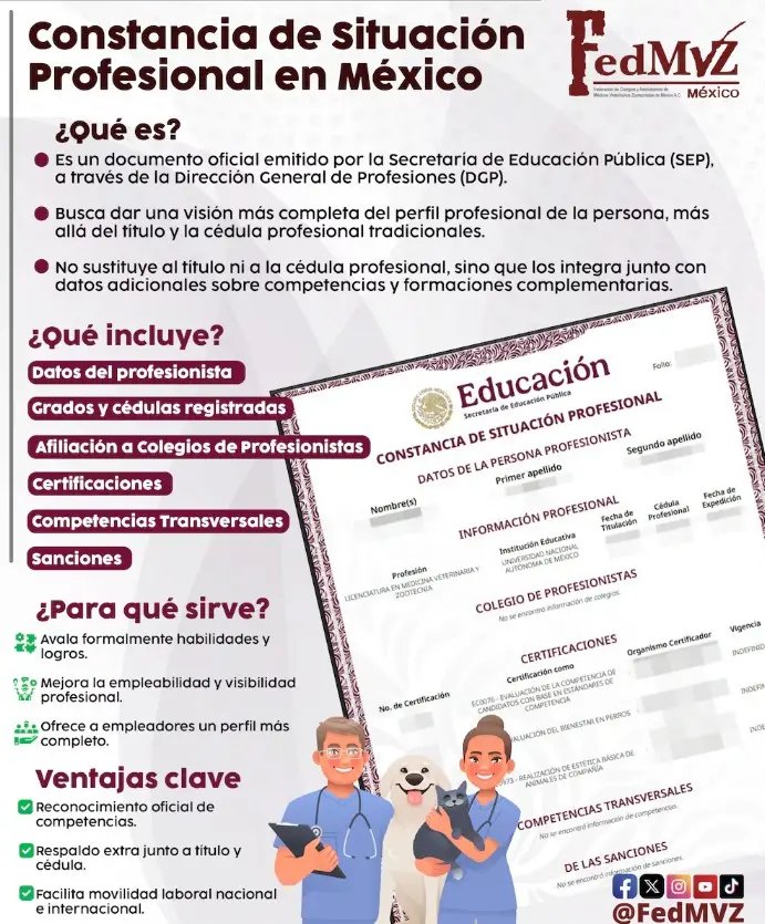 Constancia de Situación Profesional Especial