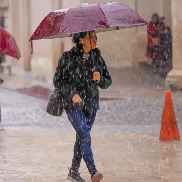 Huracán Priscilla: ¿Qué estados afectará con lluvias torrenciales y fuertes vientos?