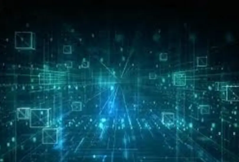 IDVI.org busca unir empresas y expertos para garantizar información confiable en México.