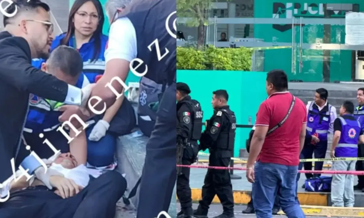  El agresor resultó herido al ser repelido por un agente de investigación. 