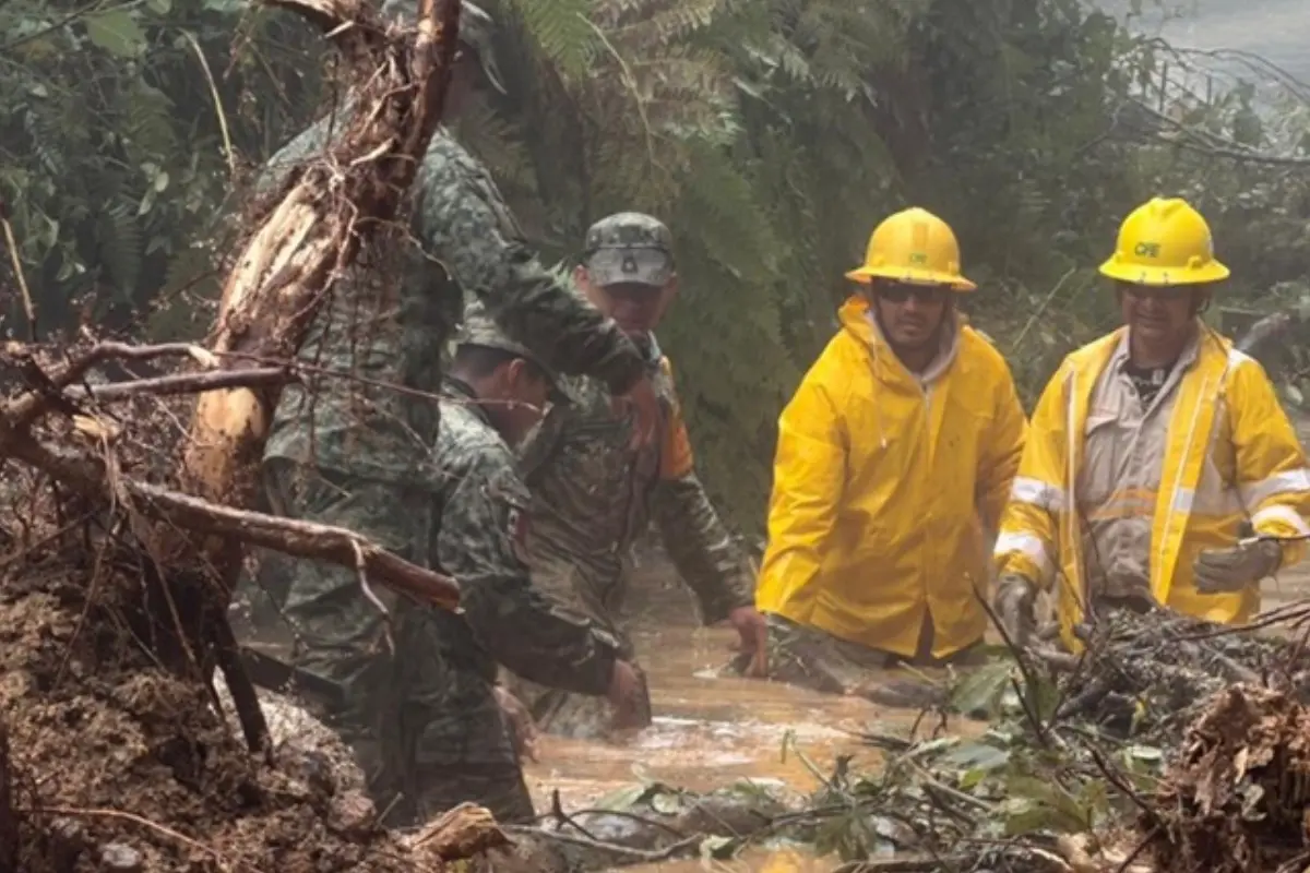  CFE restablece el 84% del servicio tras lluvias en cinco estados 