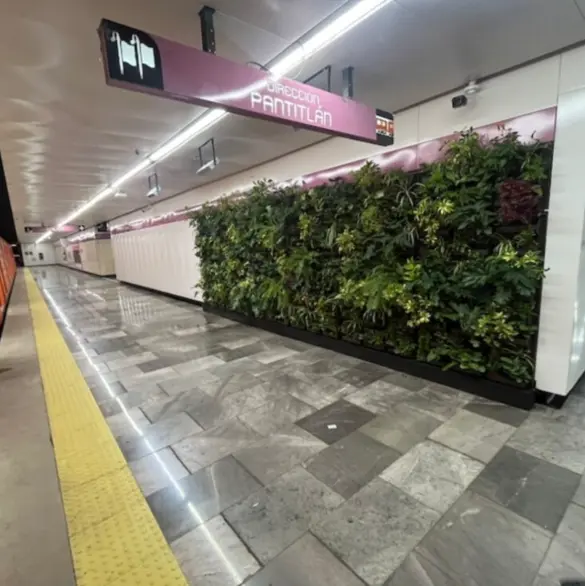 Muro verde: ¿Cómo es el proyecto ecológico que planea llevar plantas al Metro CDMX?