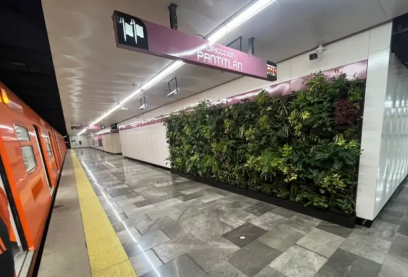 El Metro CDMX ya tiene su primer muro verde en la estación Juanacatlán. El Metro CDMX ya tiene su primer muro verde en la estación Juanacatlán.