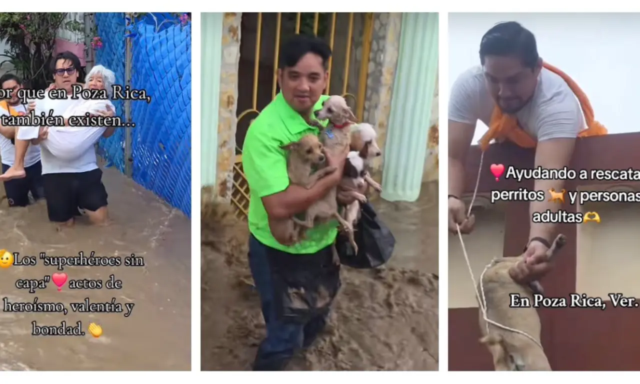  Inundaciones en Poza Rica: Ricardo arriesga su vida para salvar a abuelitos y perritos 
