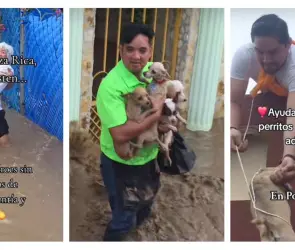 Inundaciones en Poza Rica: Ricardo arriesga su vida para salvar a abuelitos y perritos