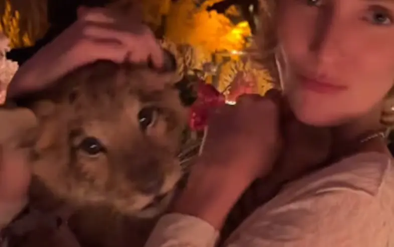 El video del cachorro en una fiesta privada en Polanco desata indignación. Captura de pantalla