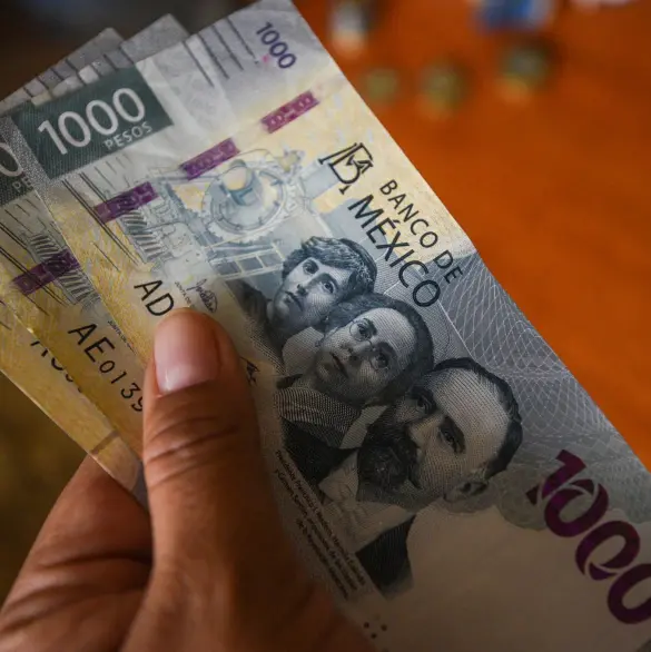 Pensión IMSS: quiénes recibirán aguinaldo y cuándo se pagará este 2025 Pensión IMSS: quiénes recibirán aguinaldo y cuándo se pagará este 2025