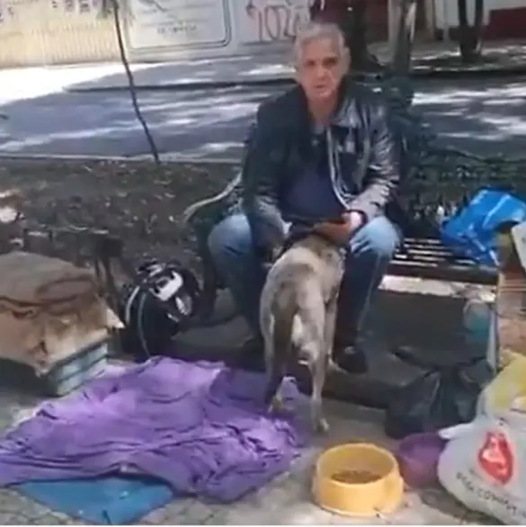 Duerme en un camellón con sus gatos: famoso actor de Televisa se encuentra en situación de calle