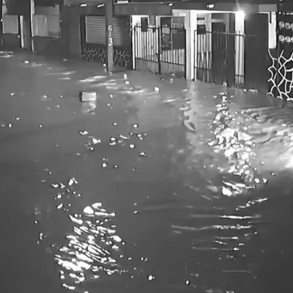 Ma, métete: Entre gritos de desesperación, revelan nuevo video de la inundación en Poza Rica