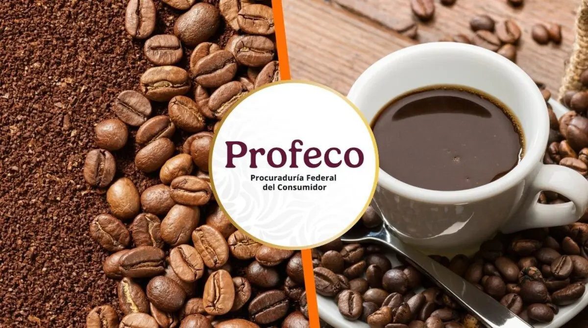 Estas son las mejores marcas de café puro, tostado y molido en México. 